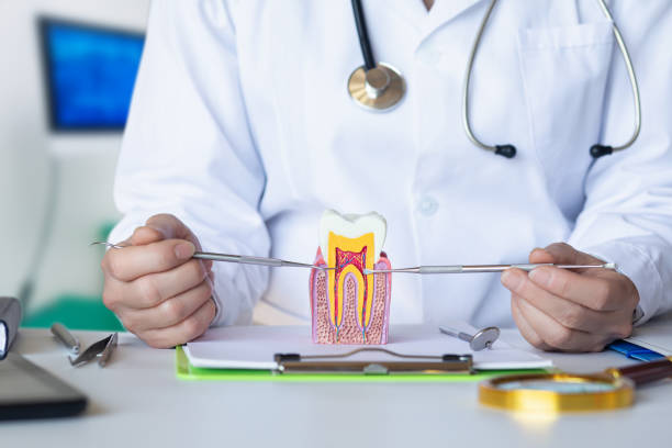 Best Root Canal Emergency Dentist  in Mayfair, CA